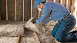 Best Attic Insulation Installation  in Shenandoah, VA